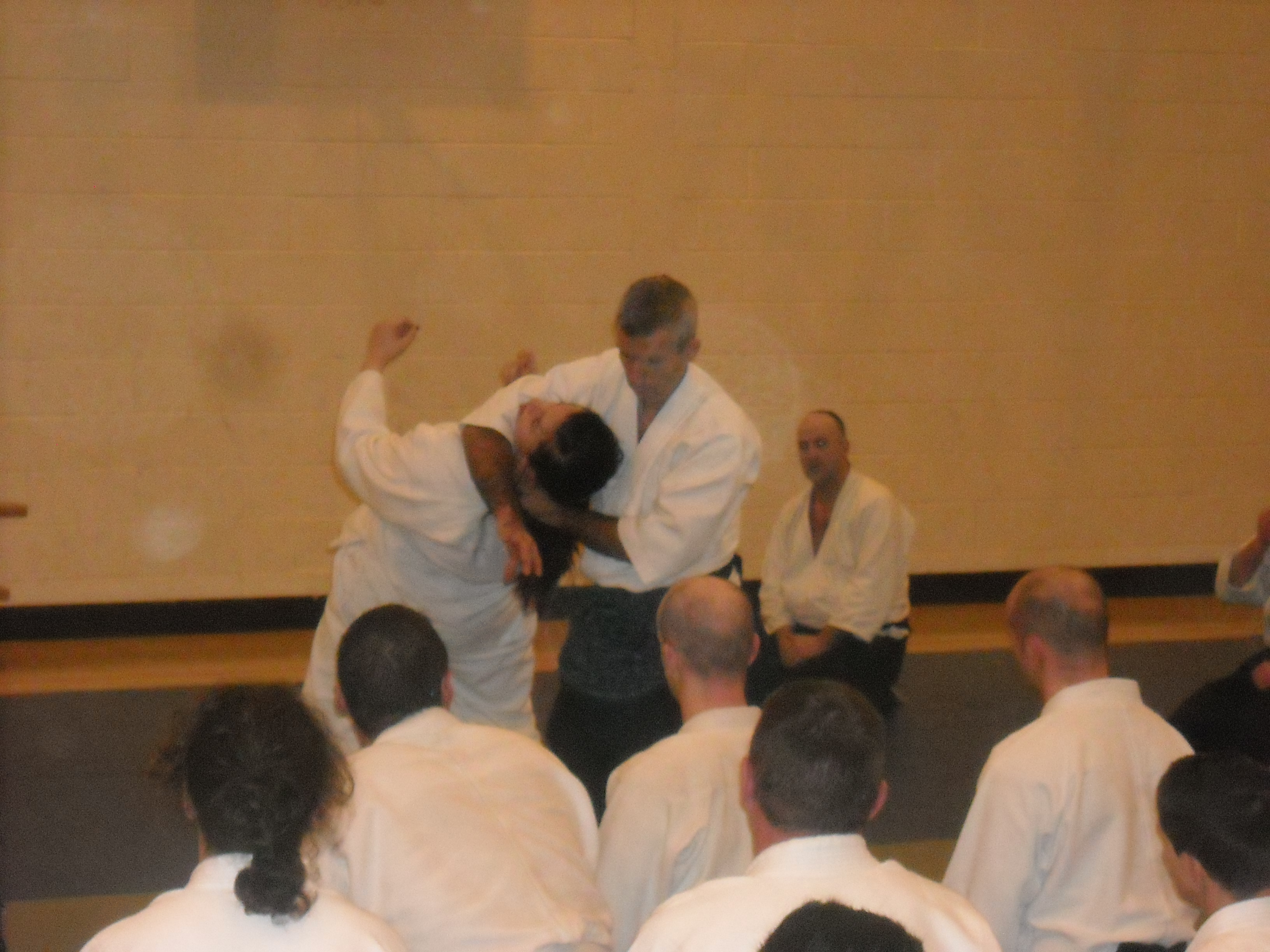 lyons seminar 012